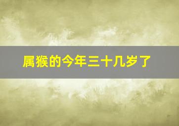 属猴的今年三十几岁了