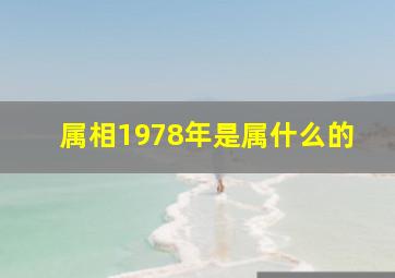 属相1978年是属什么的