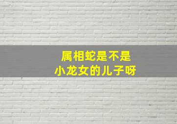 属相蛇是不是小龙女的儿子呀