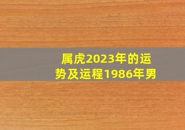 属虎2023年的运势及运程1986年男