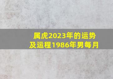 属虎2023年的运势及运程1986年男每月