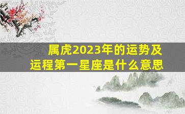 属虎2023年的运势及运程第一星座是什么意思