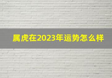 属虎在2023年运势怎么样