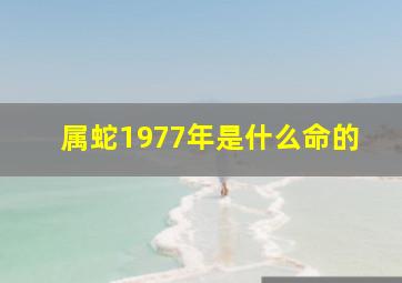 属蛇1977年是什么命的