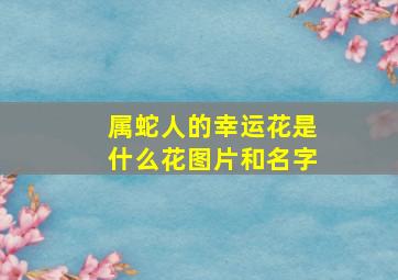 属蛇人的幸运花是什么花图片和名字