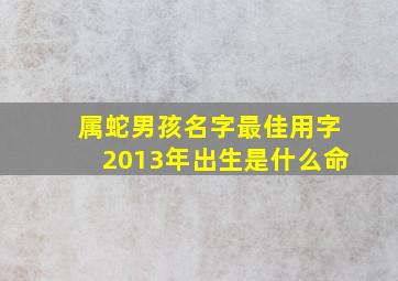 属蛇男孩名字最佳用字2013年出生是什么命