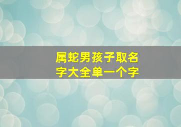 属蛇男孩子取名字大全单一个字