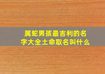 属蛇男孩最吉利的名字大全土命取名叫什么