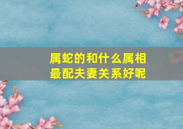 属蛇的和什么属相最配夫妻关系好呢