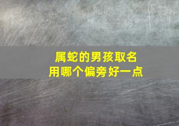 属蛇的男孩取名用哪个偏旁好一点