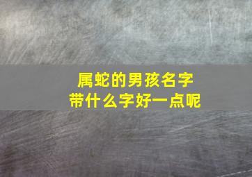 属蛇的男孩名字带什么字好一点呢