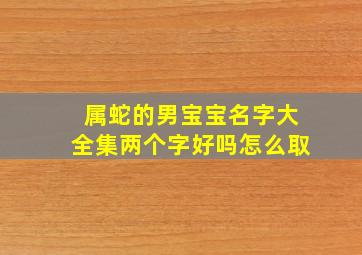 属蛇的男宝宝名字大全集两个字好吗怎么取