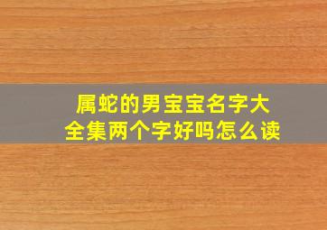 属蛇的男宝宝名字大全集两个字好吗怎么读