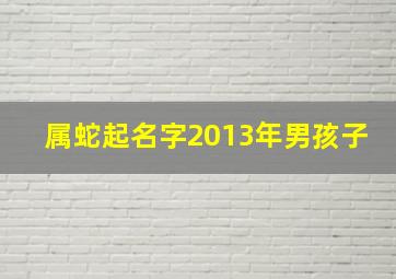 属蛇起名字2013年男孩子