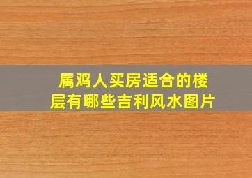 属鸡人买房适合的楼层有哪些吉利风水图片