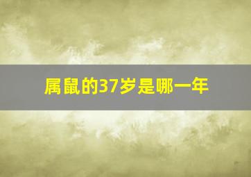 属鼠的37岁是哪一年