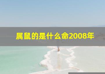 属鼠的是什么命2008年