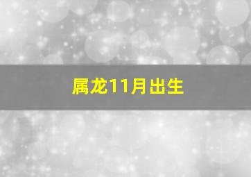 属龙11月出生