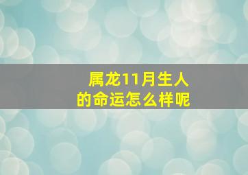 属龙11月生人的命运怎么样呢