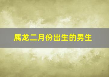 属龙二月份出生的男生