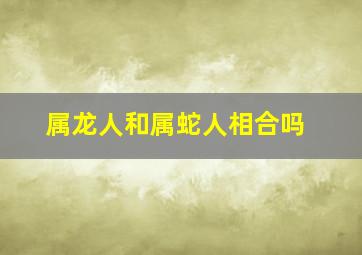 属龙人和属蛇人相合吗