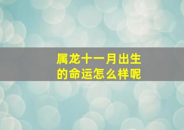 属龙十一月出生的命运怎么样呢