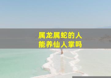 属龙属蛇的人能养仙人掌吗