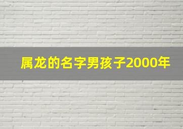 属龙的名字男孩子2000年