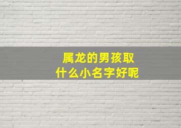 属龙的男孩取什么小名字好呢