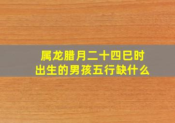 属龙腊月二十四巳时出生的男孩五行缺什么