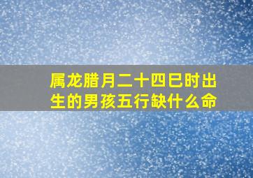 属龙腊月二十四巳时出生的男孩五行缺什么命