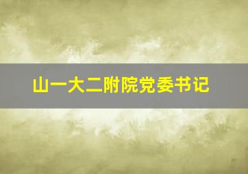 山一大二附院党委书记