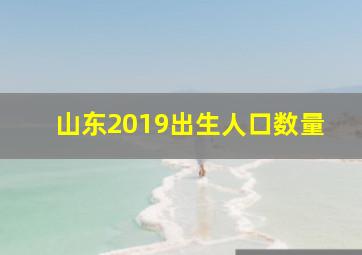 山东2019出生人口数量