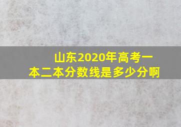 山东2020年高考一本二本分数线是多少分啊