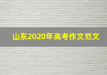 山东2020年高考作文范文