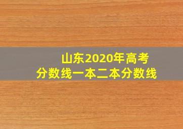 山东2020年高考分数线一本二本分数线