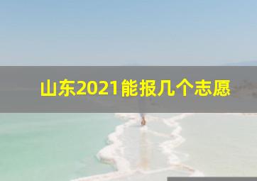 山东2021能报几个志愿