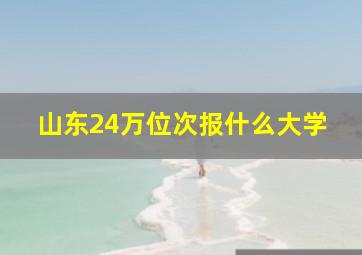 山东24万位次报什么大学