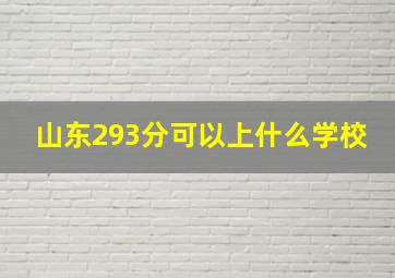 山东293分可以上什么学校