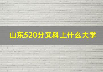 山东520分文科上什么大学