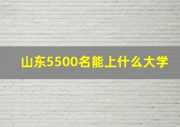 山东5500名能上什么大学