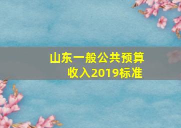 山东一般公共预算收入2019标准