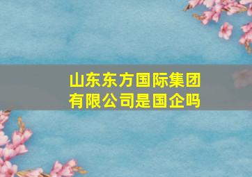 山东东方国际集团有限公司是国企吗