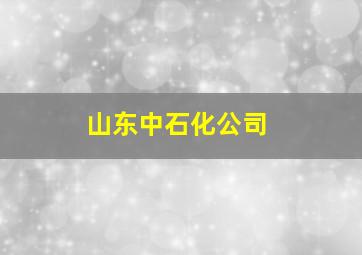 山东中石化公司