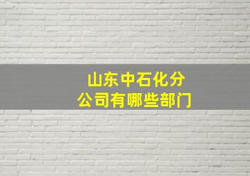 山东中石化分公司有哪些部门