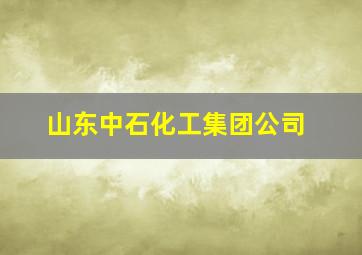 山东中石化工集团公司