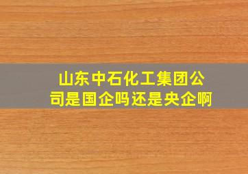 山东中石化工集团公司是国企吗还是央企啊