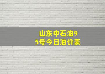 山东中石油95号今日油价表