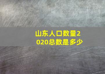 山东人口数量2020总数是多少