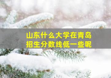 山东什么大学在青岛招生分数线低一些呢